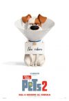 PETS 2 - VITA DA ANIMALI PETS 2 - VITA DA ANIMALI